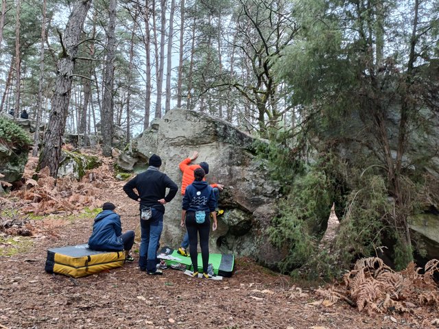 Ambiance Fontainebleau : crash pads, forêt de pins et blocs de grès, janvier 2026